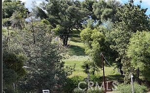 5643 Carleton Road Mariposa, CA 95338 - Photo 18 of 22 a view of a forest