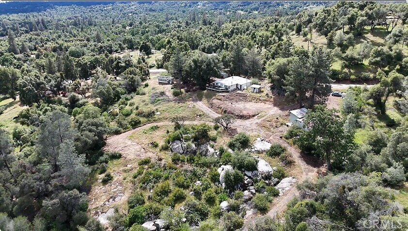 5643 Carleton Road Mariposa, CA 95338 - Photo 2 of 22 a view of a forest with a house