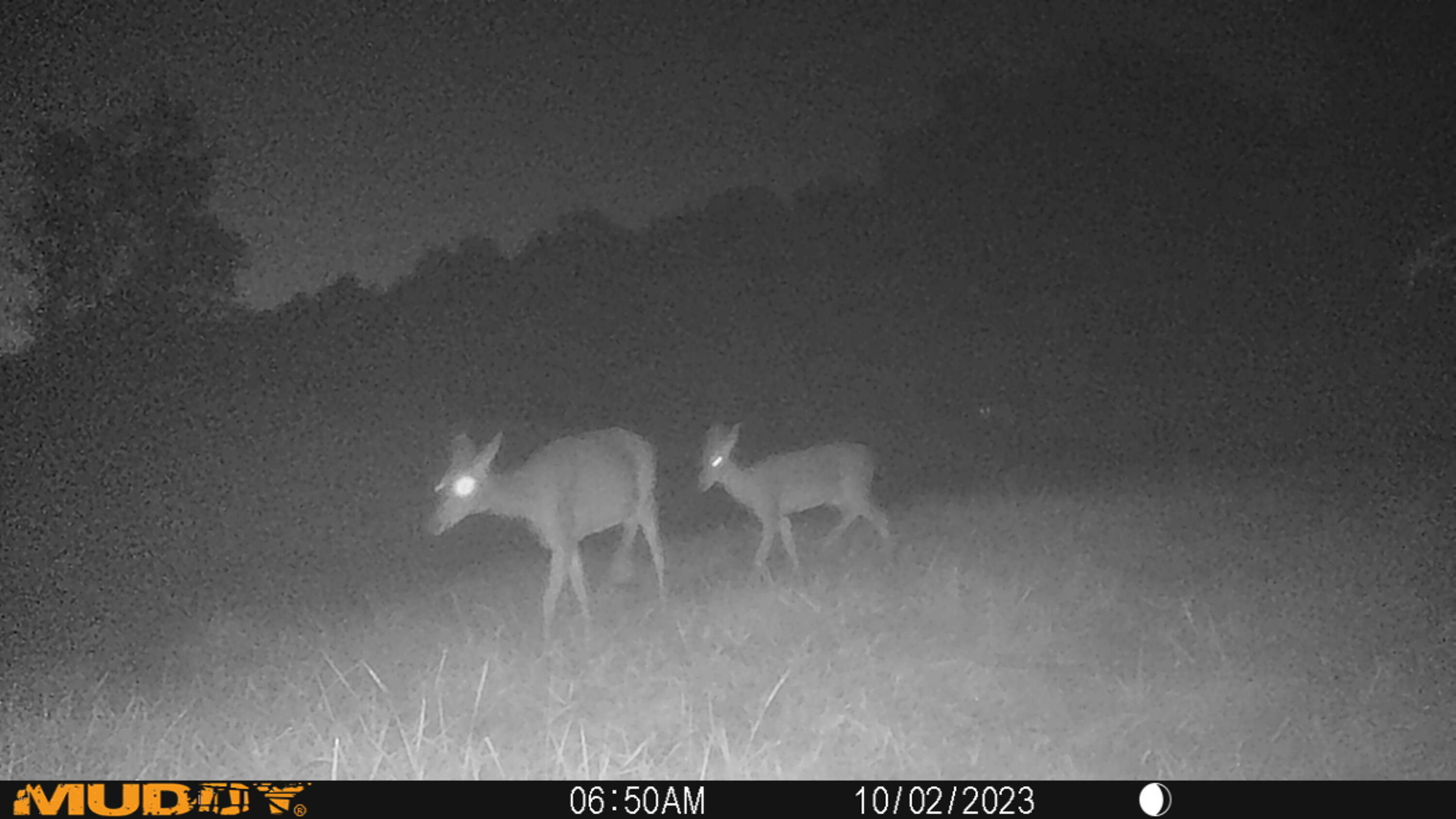 1214 Sears Road Somerset, KY 42501 - Photo 65 of 71 MUD_4257