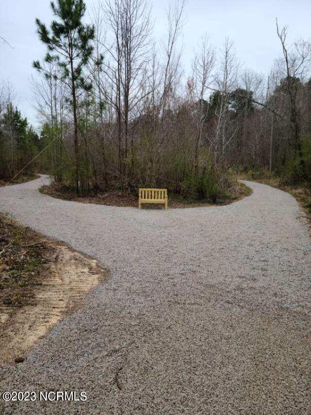9945 Bear Run Lane Middlesex, NC 27557 - Photo 14 of 18 Nature Trail