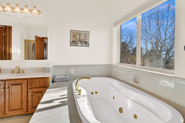 1085 Windsor Drive Provo, UT 84604 - Photo 30 of 83 Bathroom featuring a whirlpool tub and vanity