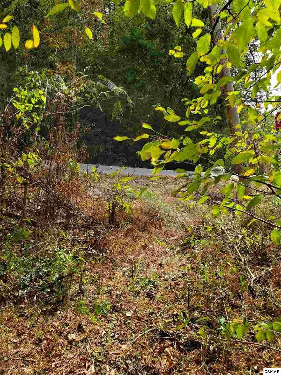 0 Shell Mountain Road Sevierville, TN 37876 - Photo 8 of 35