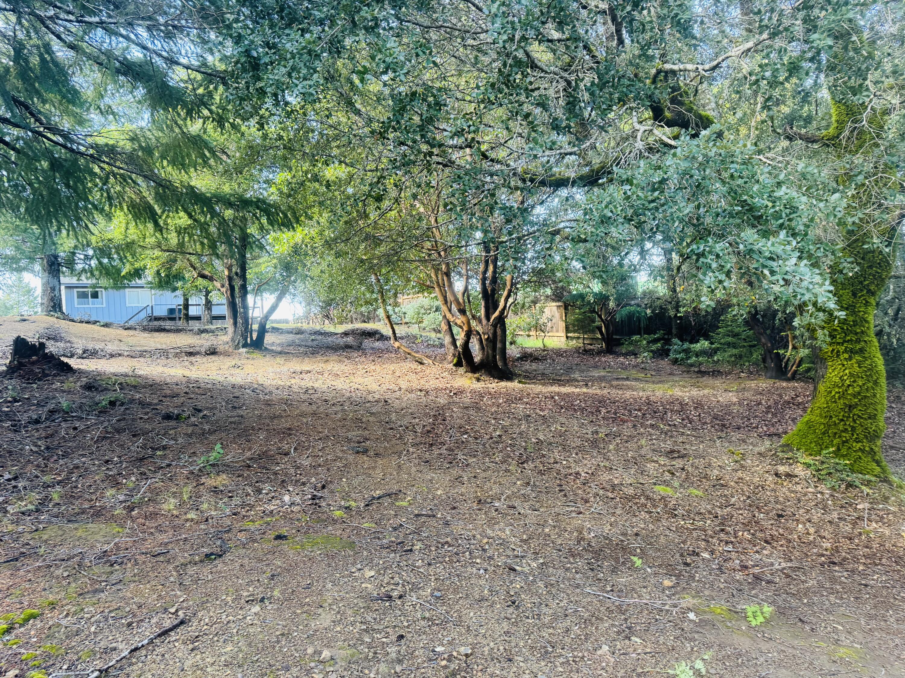 129 Vance Road Shelter Cove, CA 95589 - Photo 8 of 8