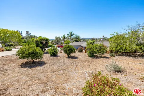 a view of a garden with large trees