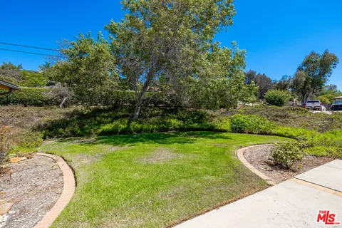 a view of a yard with a tree