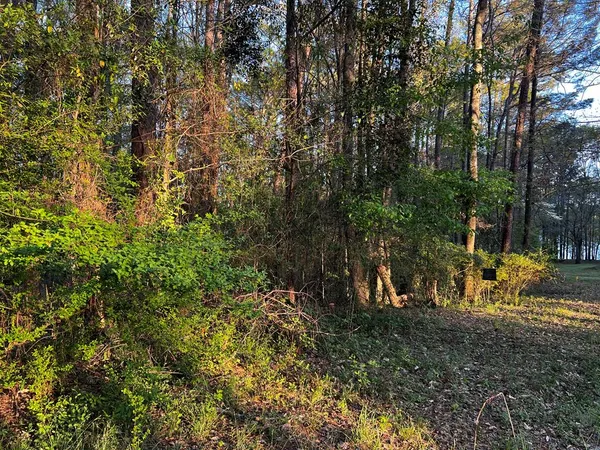 $65,000 | 203 North View Pointe Drive, LaGrange, GA 30241