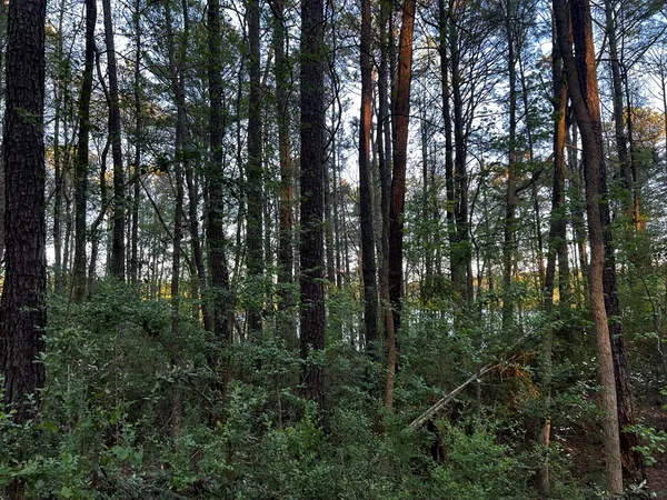 $65,000 | 203 North View Pointe Drive, LaGrange, GA 30241