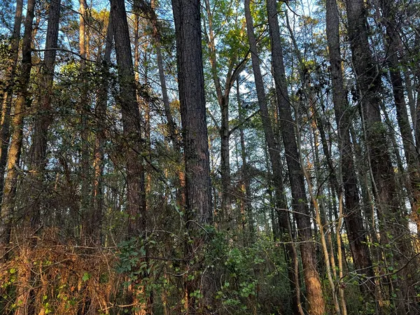 $65,000 | 203 North View Pointe Drive, LaGrange, GA 30241