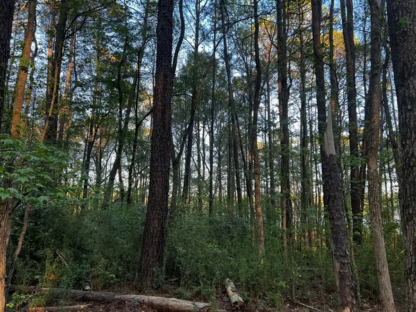 $65,000 | 203 North View Pointe Drive, LaGrange, GA 30241