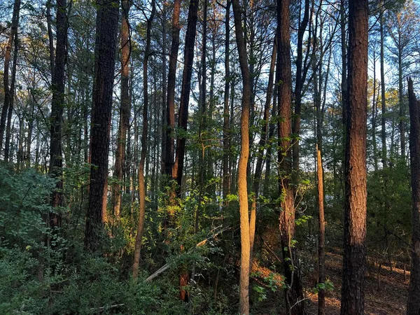 $65,000 | 203 North View Pointe Drive, LaGrange, GA 30241