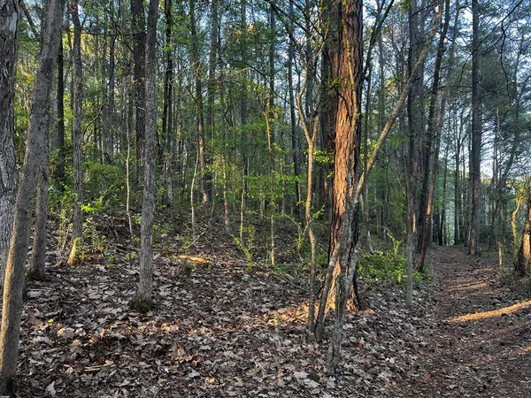 $65,000 | 203 North View Pointe Drive, LaGrange, GA 30241