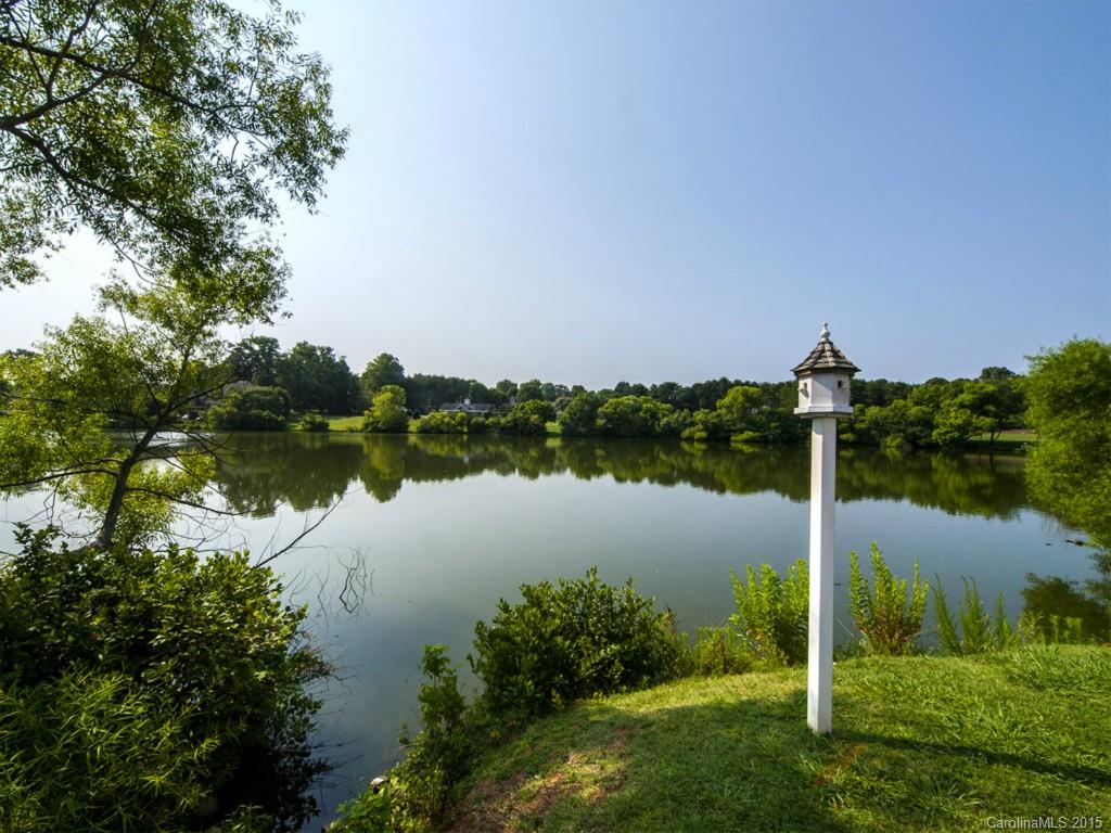 608 Crosswater Lane, Unit 608 Fort Mill, SC 29708 - Photo 20 of 20 a backyard of a house with lots of green space and lake view