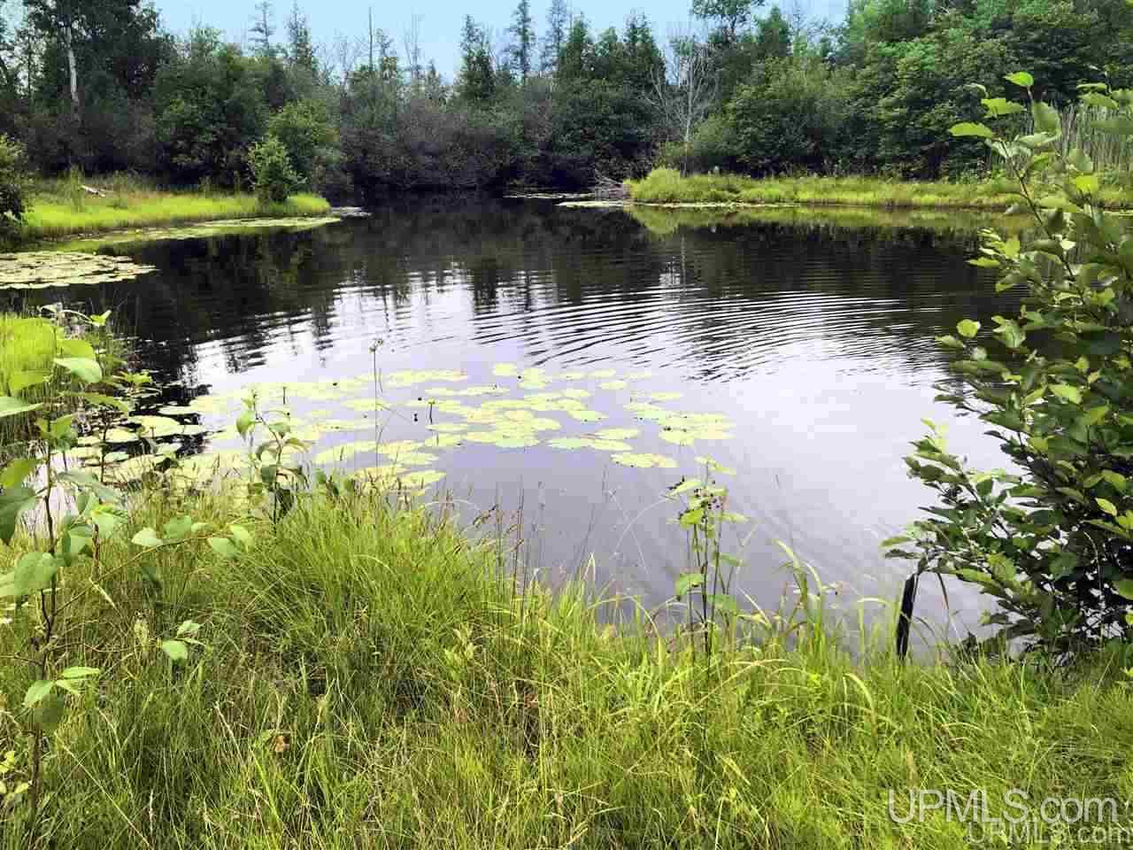 4688 12th Road Escanaba, MI 49829 - Photo 9 of 42