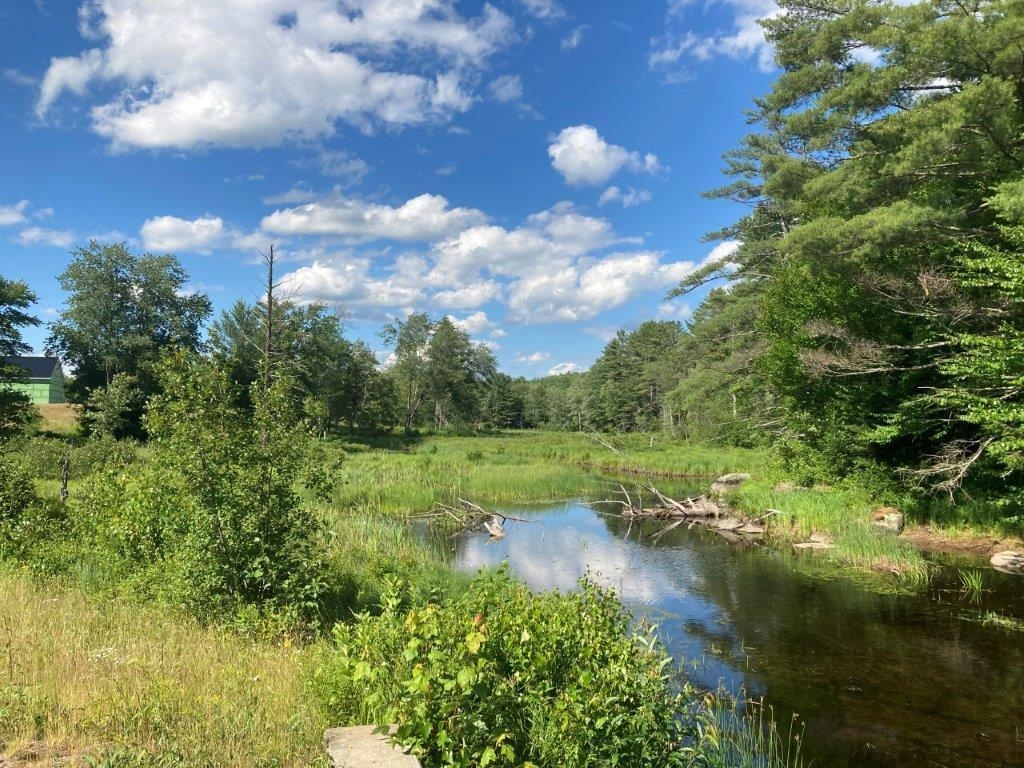 394 Goose Pond Road Canaan, NH 03741 - Photo 3 of 40 Gallery Image 3