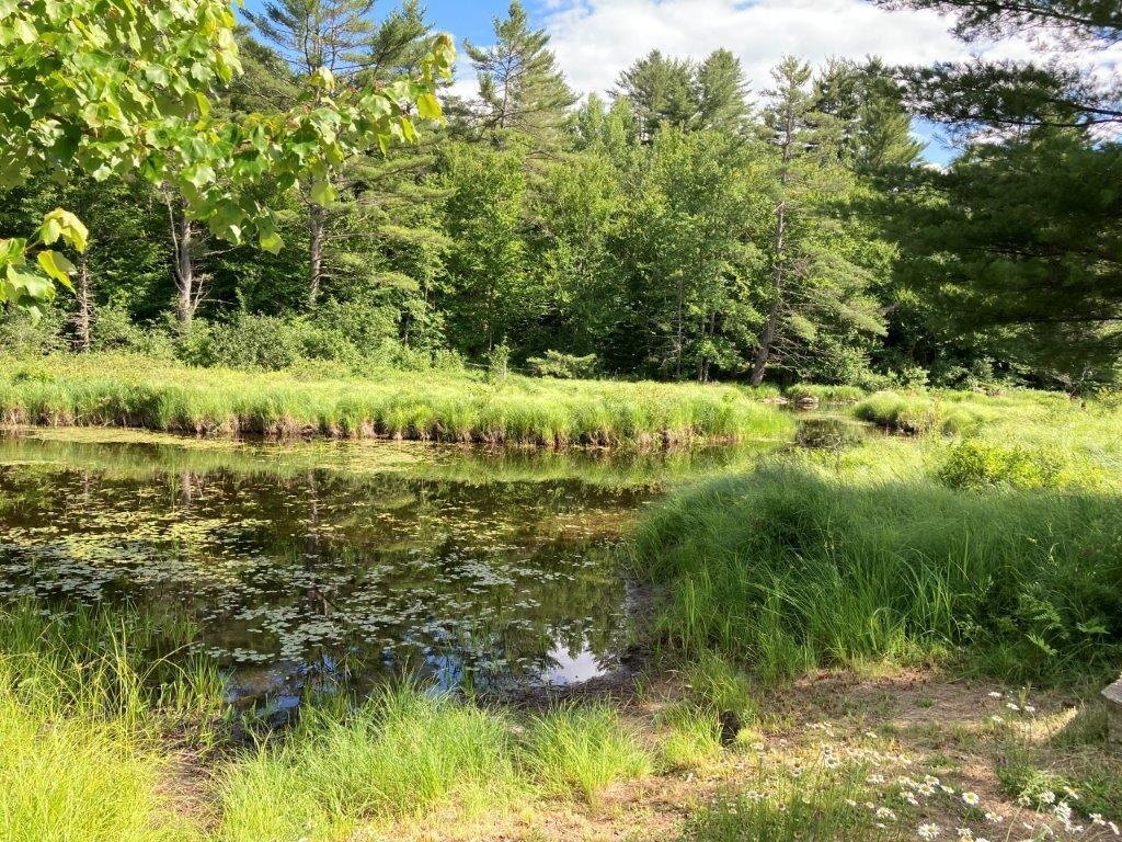 394 Goose Pond Road Canaan, NH 03741 - Photo 35 of 40 Gallery Image 35