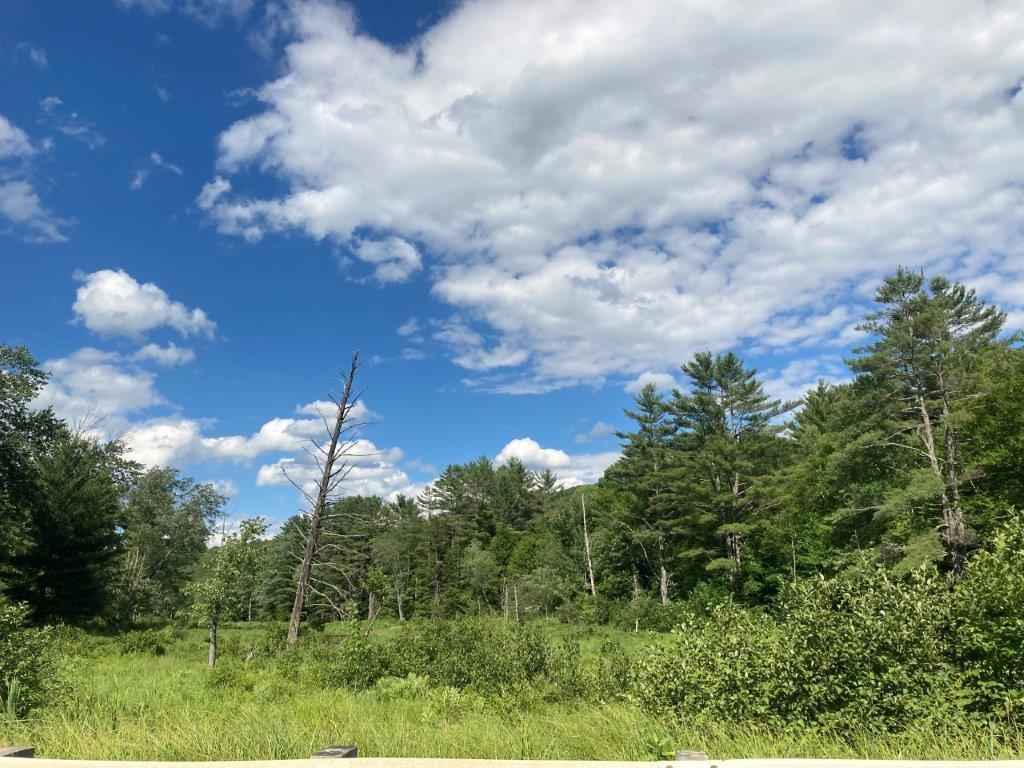 394 Goose Pond Road Canaan, NH 03741 - Photo 38 of 40 Gallery Image 38