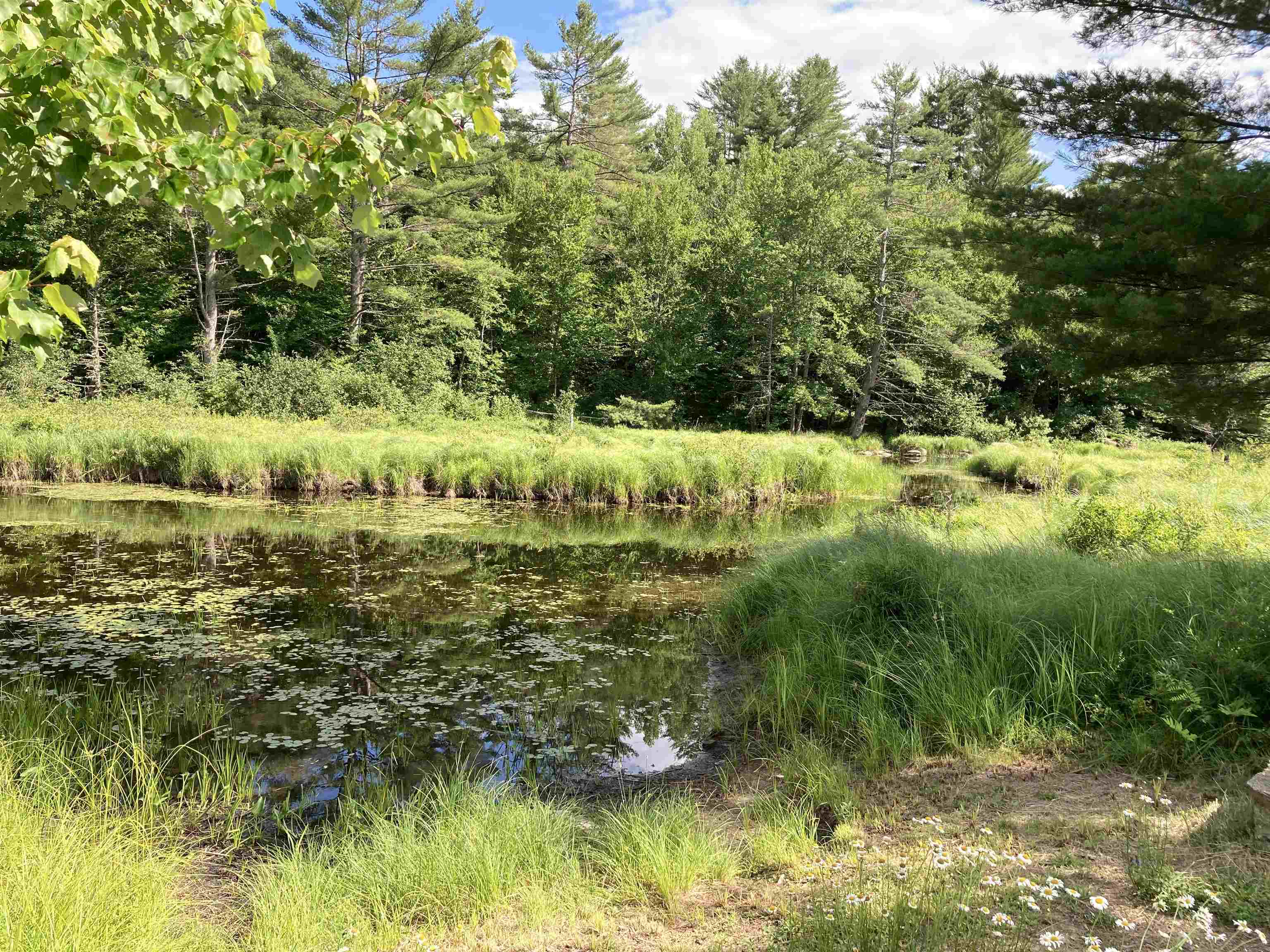 394 Goose Pond Road Canaan, NH 03741 - Photo 39 of 40 Gallery Image 39