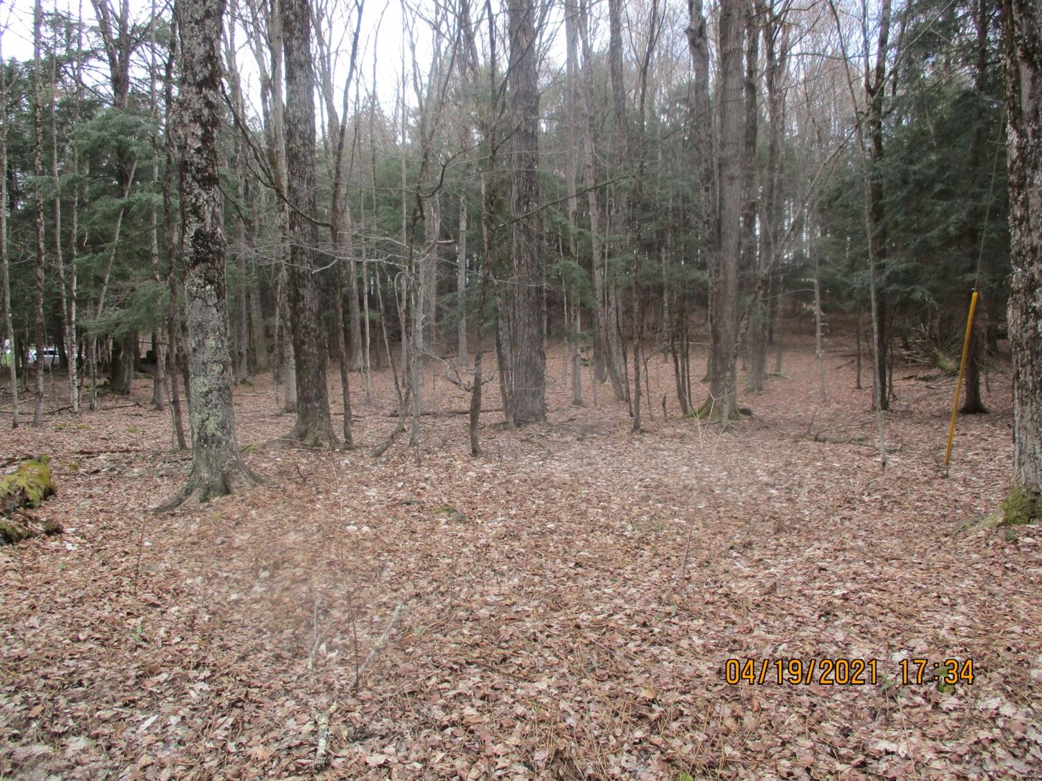 0 Wood Road Jefferson, NY 12093 - Photo 1 of 1 Gallery Image 1