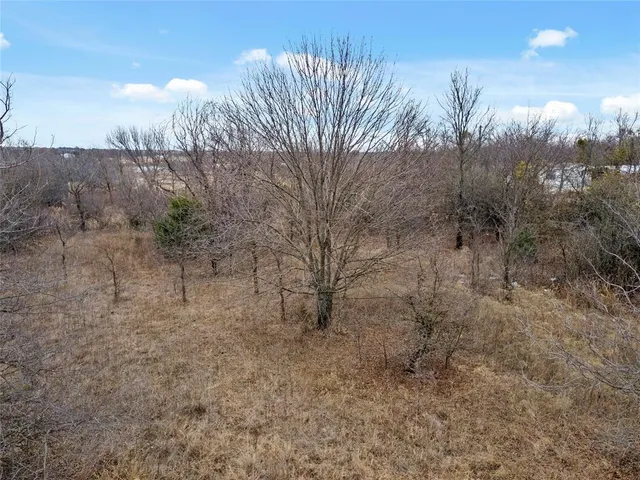 a view of a dry yard