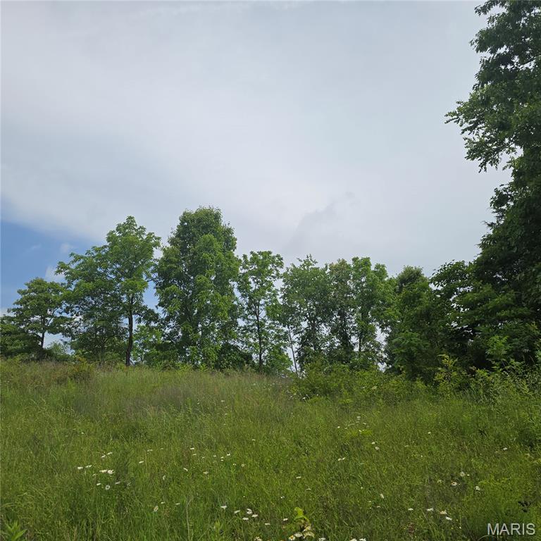 14809 East Knox Road Mount Vernon, IL 62864 - Photo 21 of 31