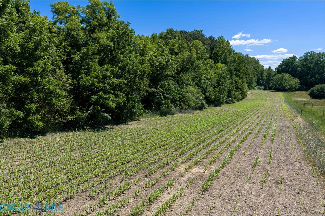 24-ac Wake Road Hartfield, VA 23071 - Photo 16 of 25