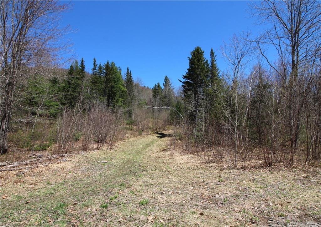 1 Deer Hill Road Fryeburg, ME 04037 - Photo 25 of 34 The path to Little Deer Hill and the...