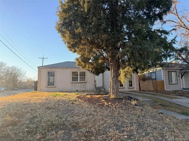 a house that has a tree in front of it
