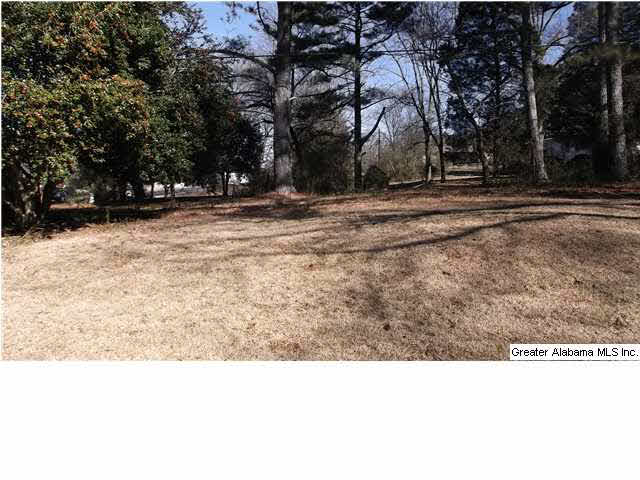 2141 Old Springville Road Birmingham, AL 35235 - Photo 8 of 14