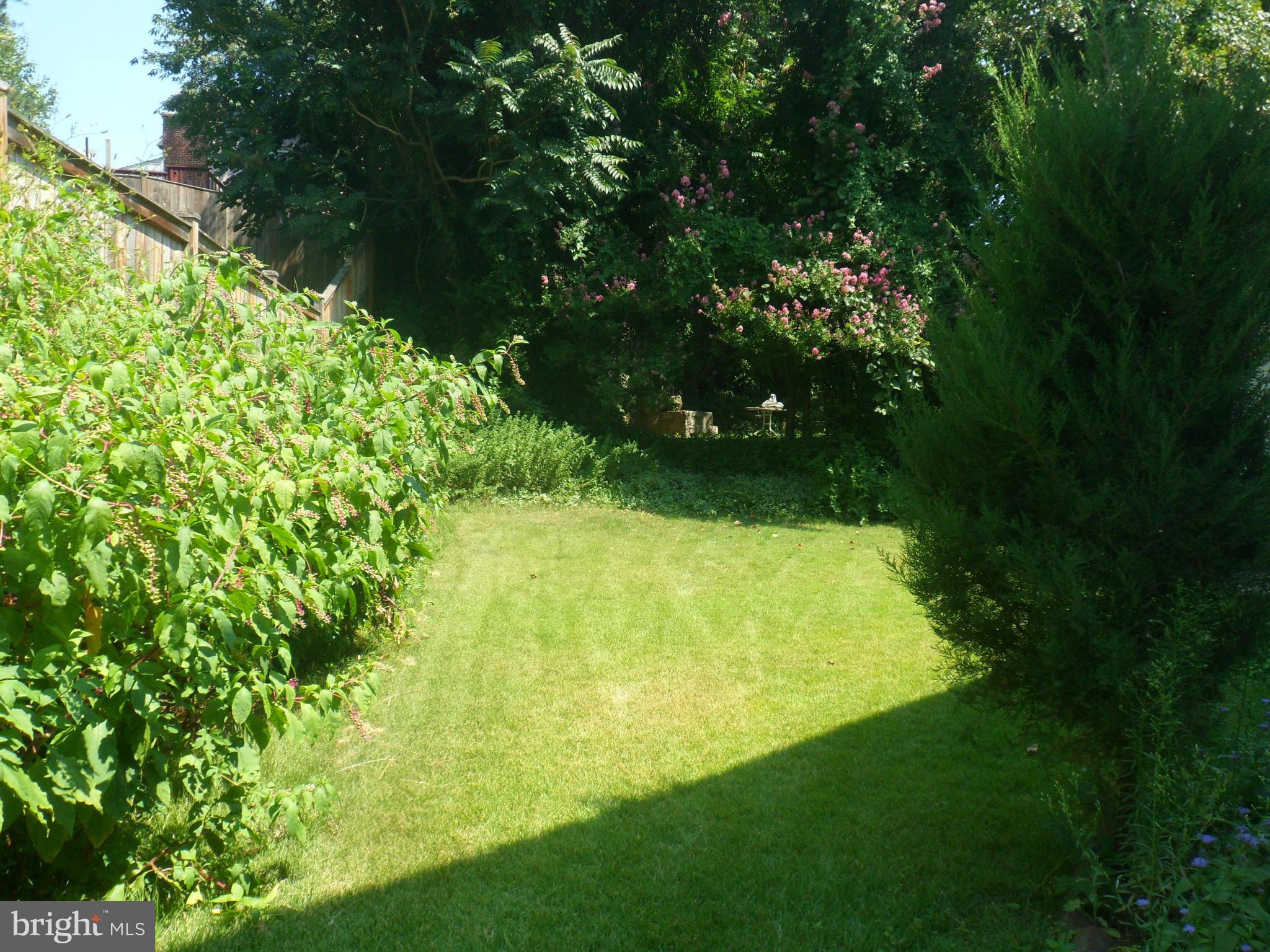 2008 Brighton Road Hyattsville, MD 20782 - Photo 5 of 13 Rear Yard