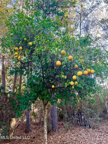 $87,000 | 9748 Limu Way, Diamondhead, MS 39525