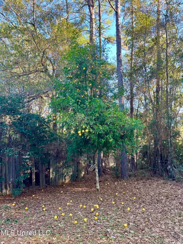 $87,000 | 9748 Limu Way, Diamondhead, MS 39525