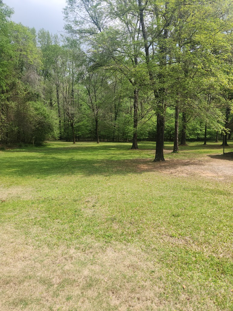 997 Richardson Road Fortson, GA 31808 - Photo 47 of 52 Gallery Image 47