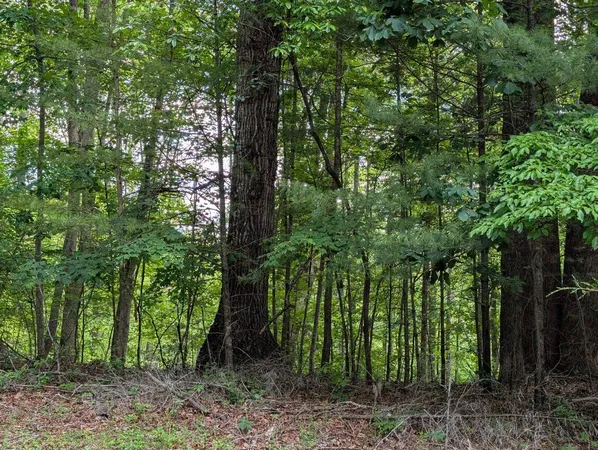 $12,950 | 0 Bousman Circle, Hardy, VA 24101