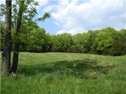65 Shoulders Road Dixon Springs, TN 37057 - Photo 1 of 9 Gallery Image 1