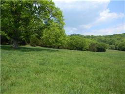 65 Shoulders Road Dixon Springs, TN 37057 - Photo 3 of 9 Gallery Image 3