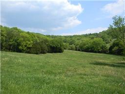 65 Shoulders Road Dixon Springs, TN 37057 - Photo 4 of 9 Gallery Image 4