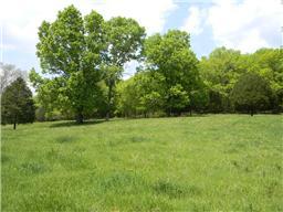 65 Shoulders Road Dixon Springs, TN 37057 - Photo 6 of 9 Gallery Image 6