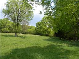 65 Shoulders Road Dixon Springs, TN 37057 - Photo 7 of 9 Gallery Image 7