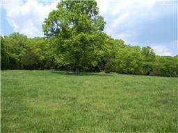 65 Shoulders Road Dixon Springs, TN 37057 - Photo 9 of 9 Gallery Image 9