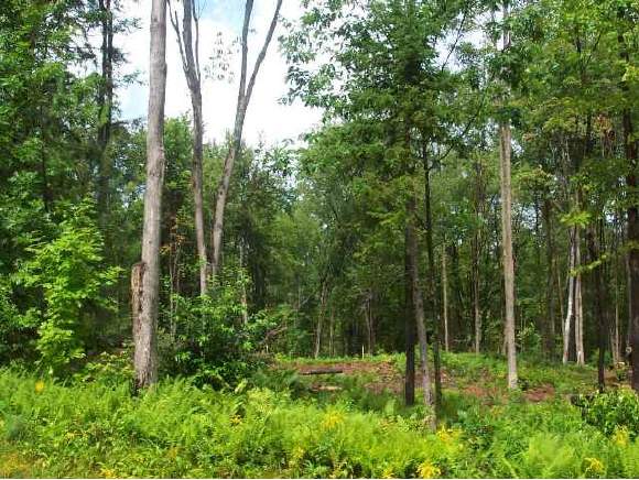 21 Huntoon Brick Farm Road Newport, NH 03773 - Photo 1 of 1 Gallery Image 1