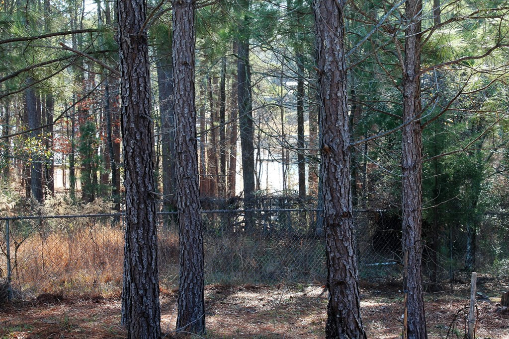 330 Lethe Road McCormick, SC 29835 - Photo 8 of 29