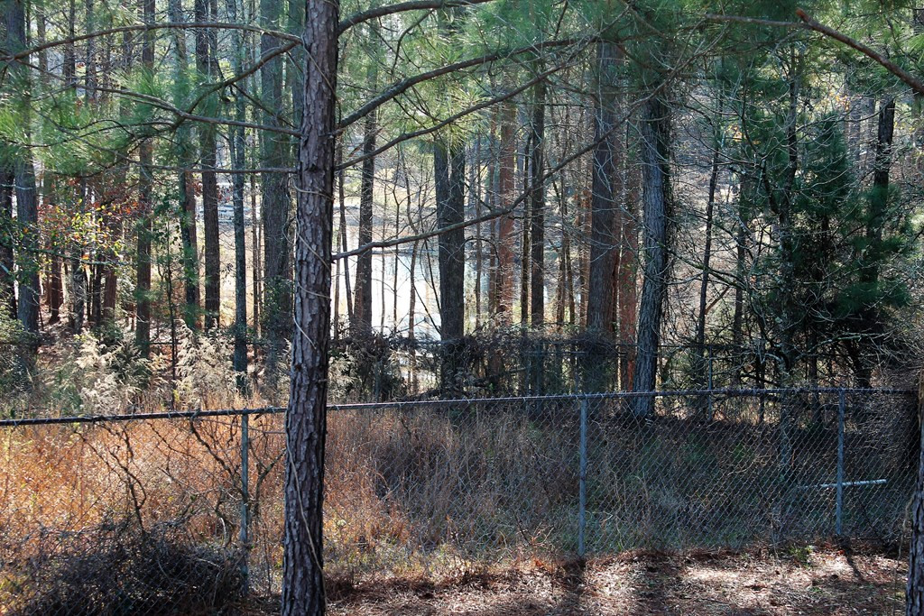 330 Lethe Road McCormick, SC 29835 - Photo 9 of 29