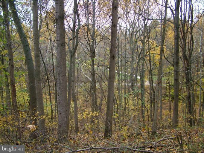 Mt Ephraim Road Adamstown, MD 21710 - Photo 2 of 8 a view of a yard