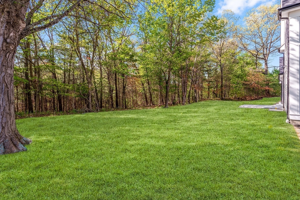 11 Cuba Street Andover, MA 01810 - Photo 5 of 42