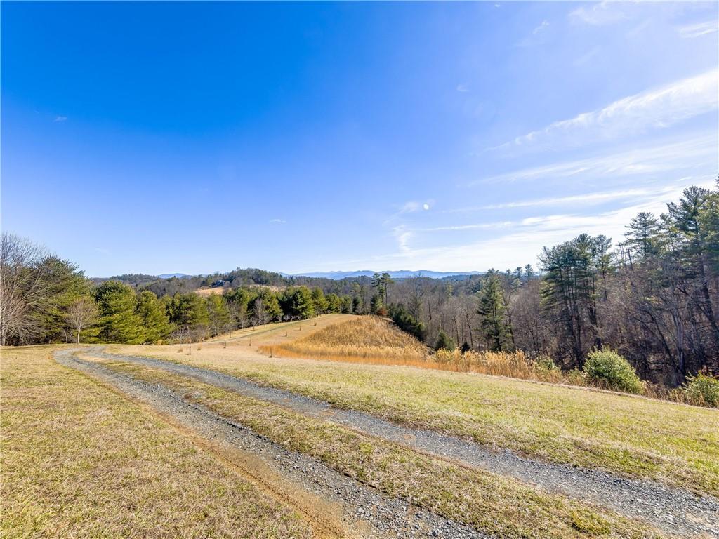 2243 Silvers Mill Road Marshall, NC 28753 - Photo 3 of 35 Gallery Image 3