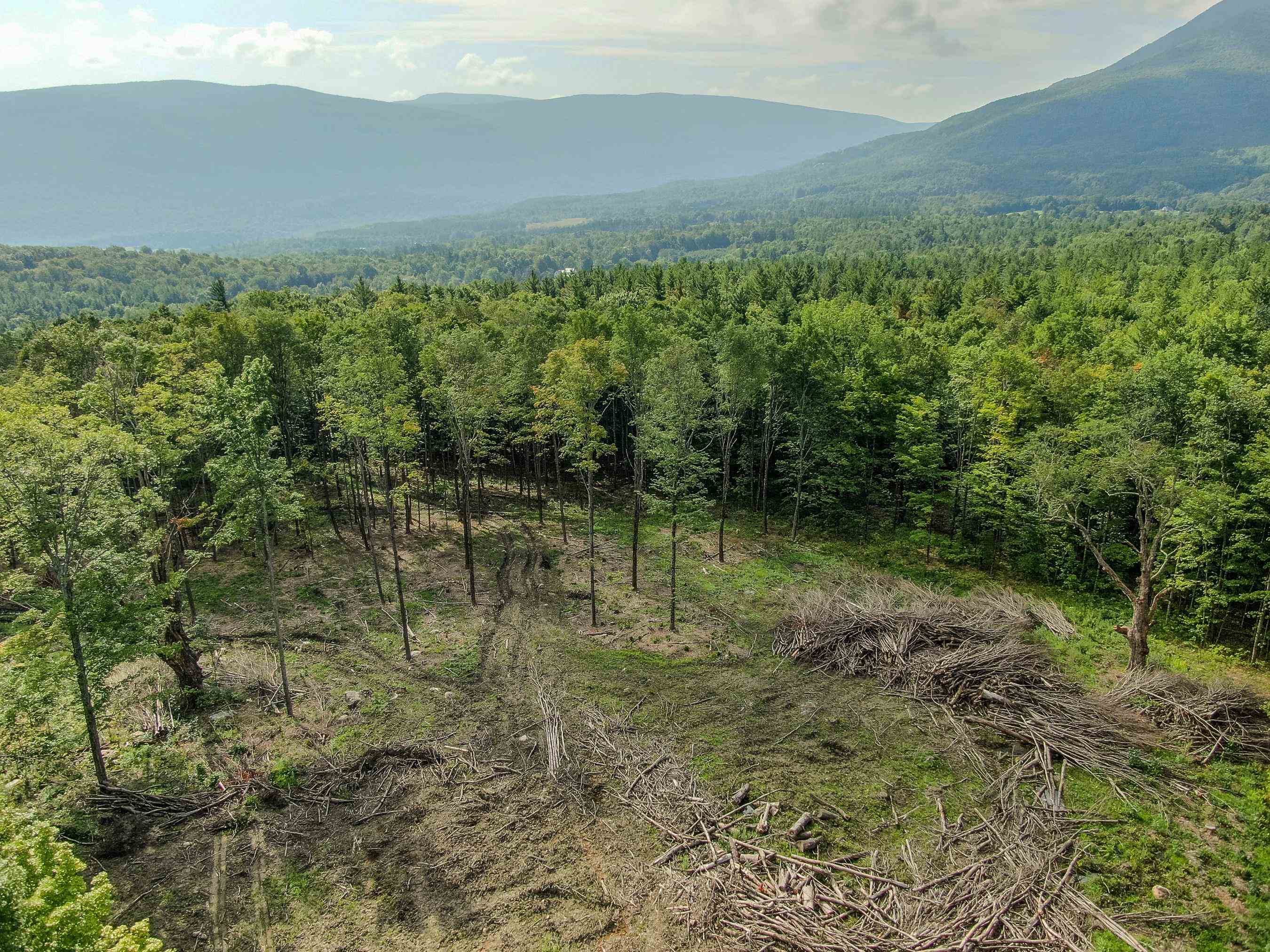 1349 Staples Road Danby, VT 05739 - Photo 4 of 15 Gallery Image 4