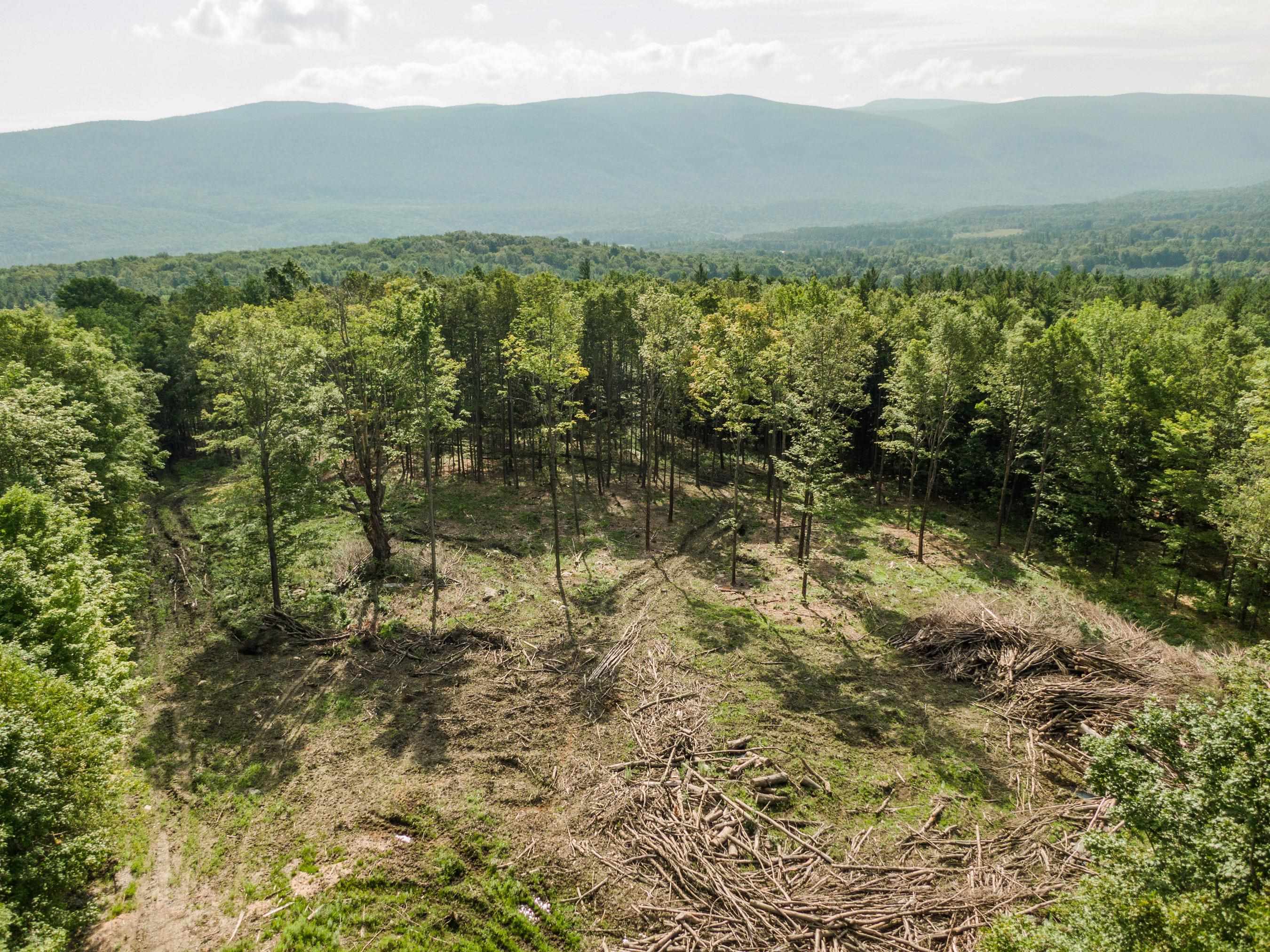 1349 Staples Road Danby, VT 05739 - Photo 5 of 15 Gallery Image 5