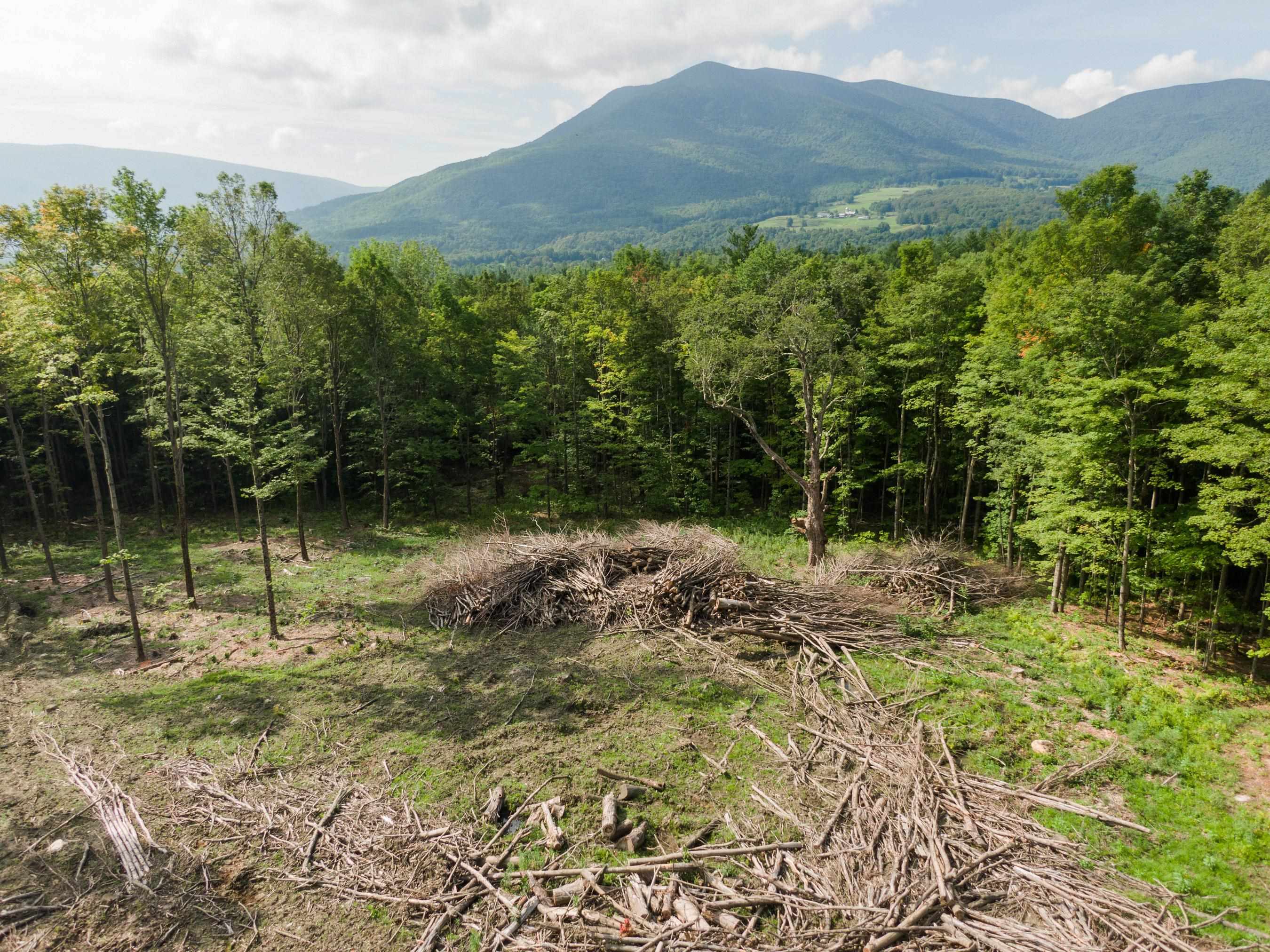 1349 Staples Road Danby, VT 05739 - Photo 6 of 15 Gallery Image 6