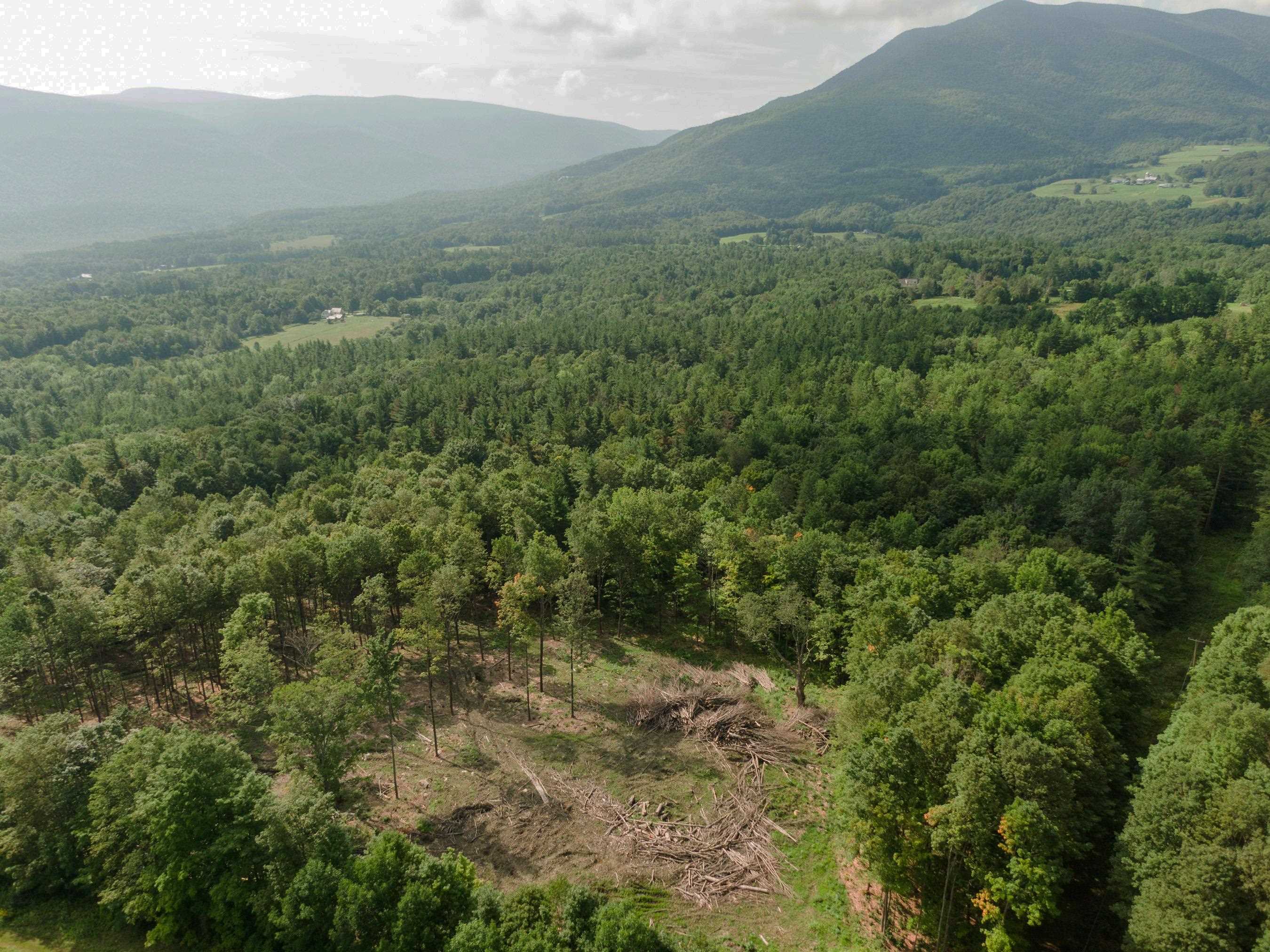 1349 Staples Road Danby, VT 05739 - Photo 8 of 15 Gallery Image 8