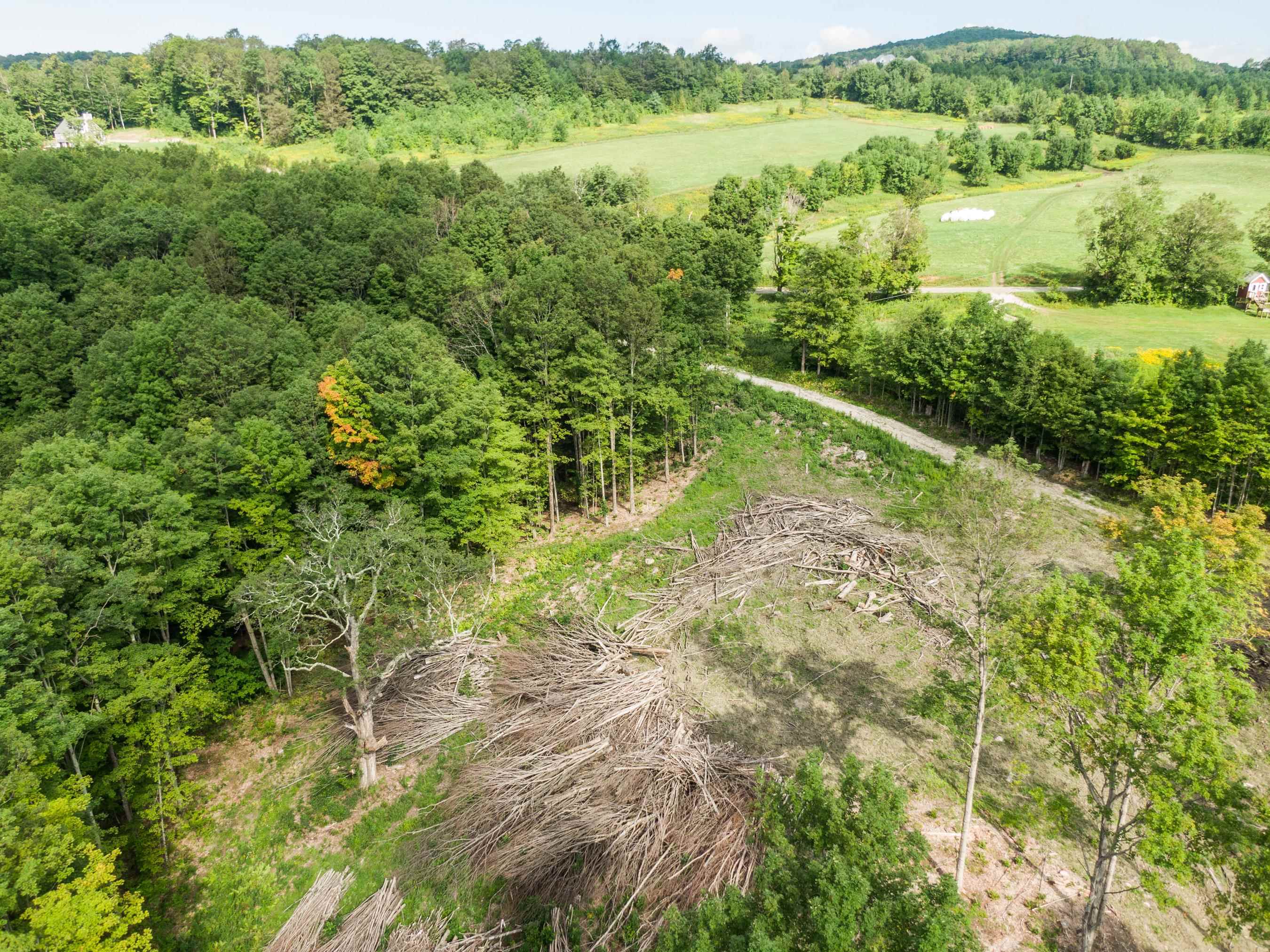 1349 Staples Road Danby, VT 05739 - Photo 9 of 15 Gallery Image 9